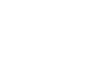 INM - Institute for Neurosciences Montpellier